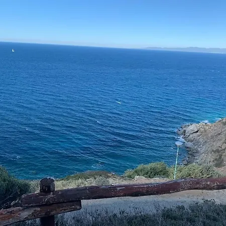 Carmen Di *